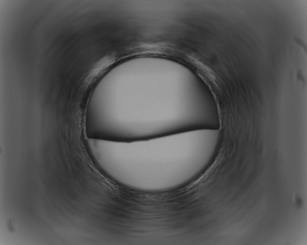 X0000097601411200802290721