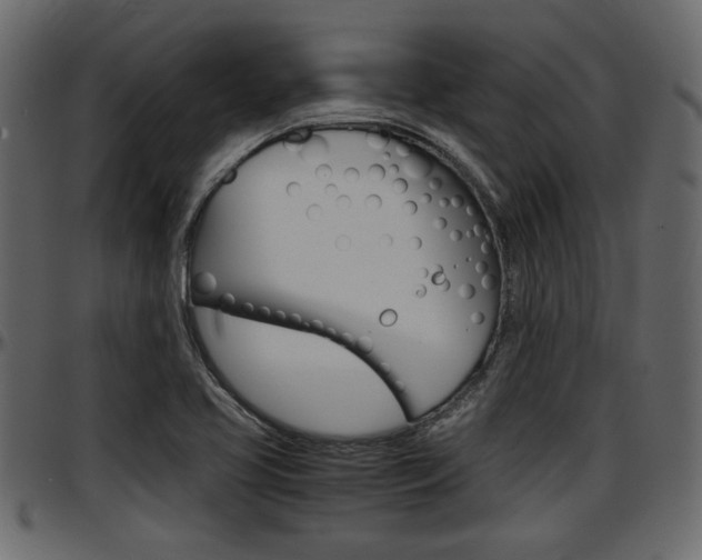 X0000097601413200802290721