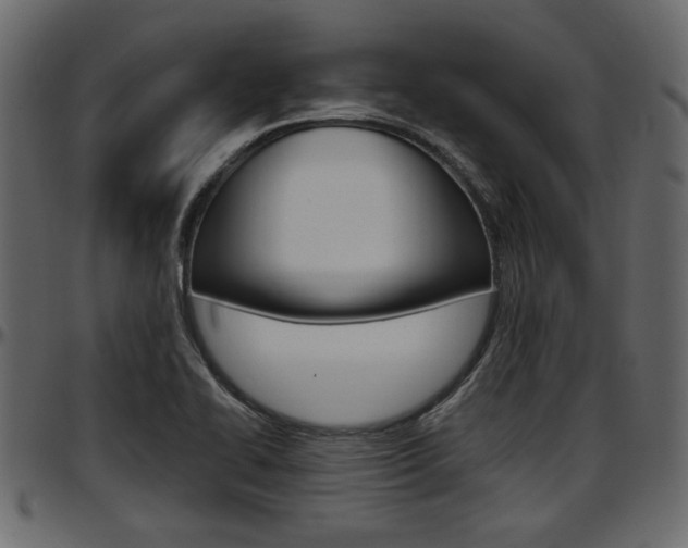 X0000097601414200802290721