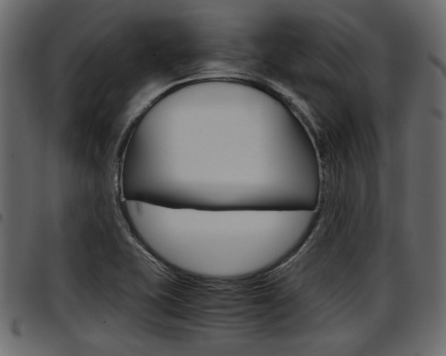 X0000097601415200802290721