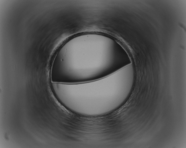 X0000097601416200802290721