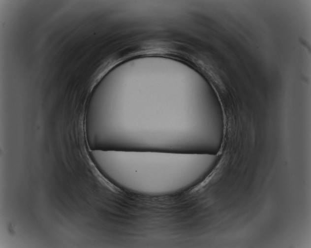 X0000097601417200802290721