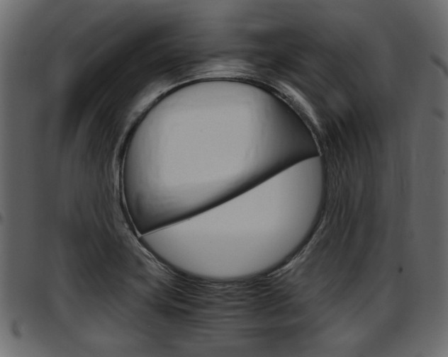 X0000097601419200802290721
