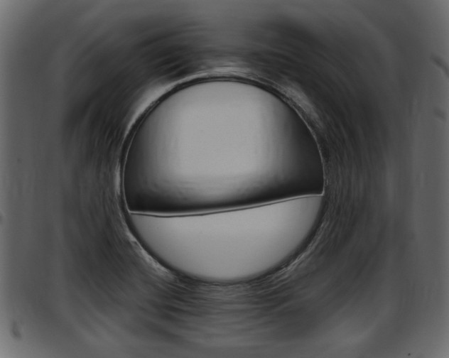 X0000097601420200802290721