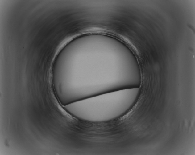 X0000097601421200802290721