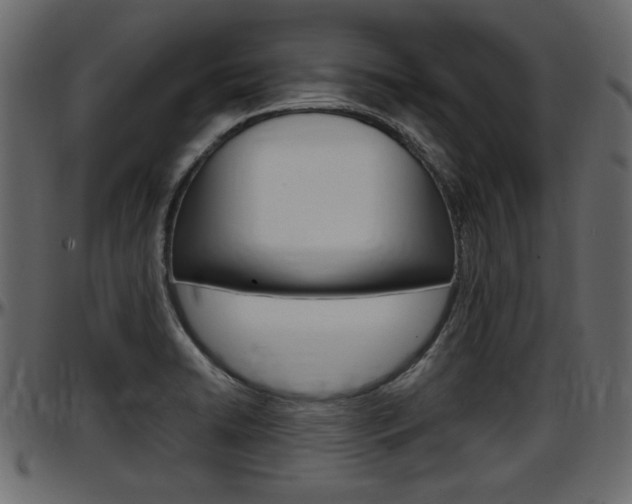 X0000097601422200802290721
