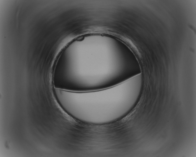 X0000097601424200802290721