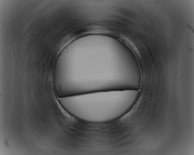 X0000097601425200802290721