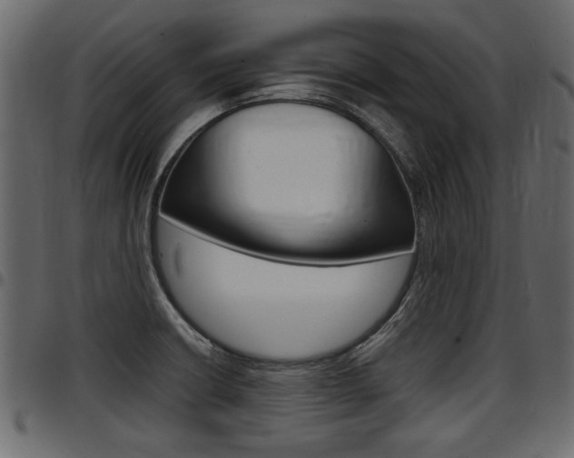 X0000097601426200802290721