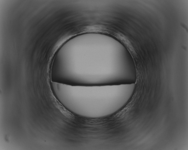 X0000097601427200802290721