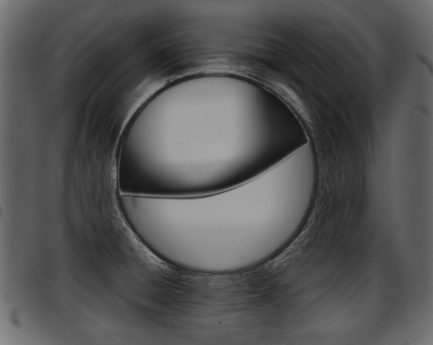 X0000097601428200802290721