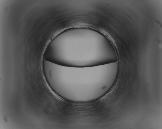 X0000097601429200802290721