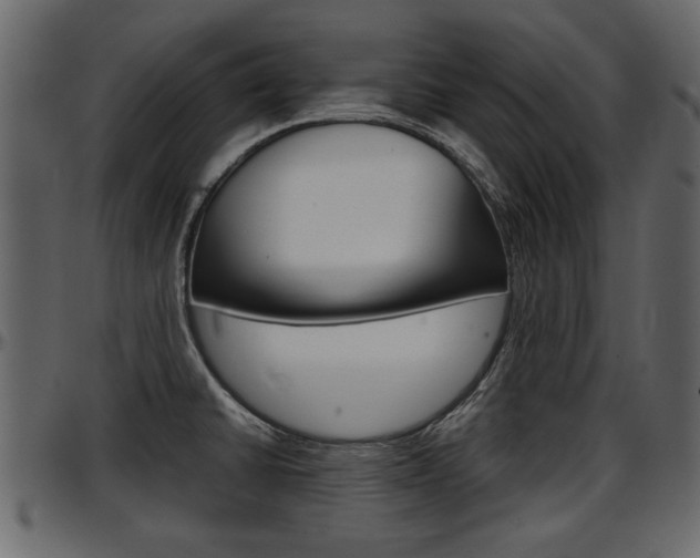 X0000097601430200802290721