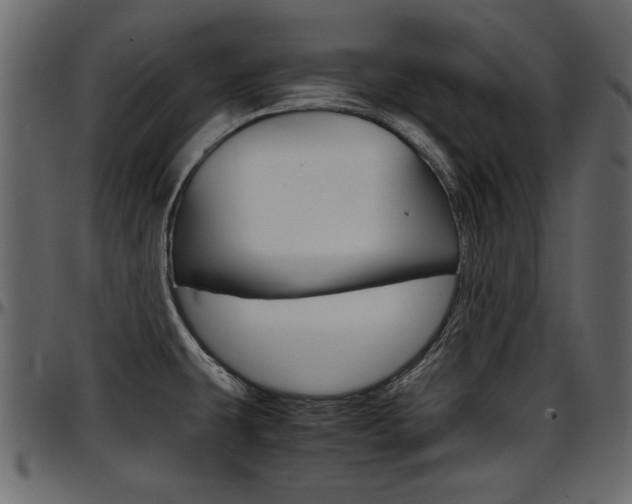 X0000097601431200802290721