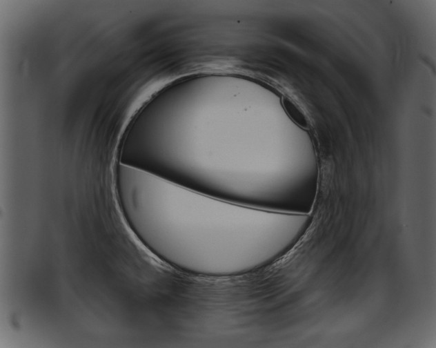 X0000097601432200802290721
