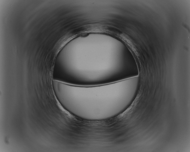 X0000097601433200802290721