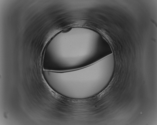X0000097601434200802290721
