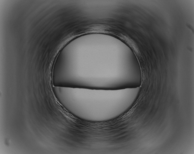 X0000097601435200802290721