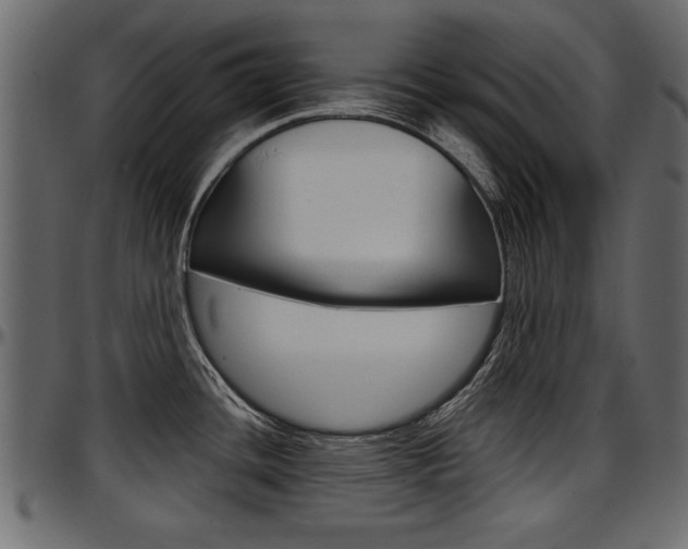 X0000097601436200802290721