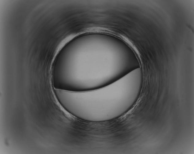 X0000097601437200802290721