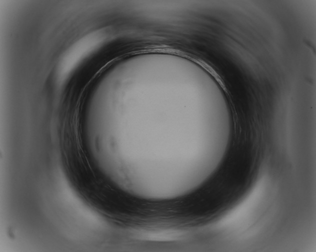 X0000097601438200802290721