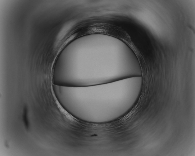 X0000097601439200802290721