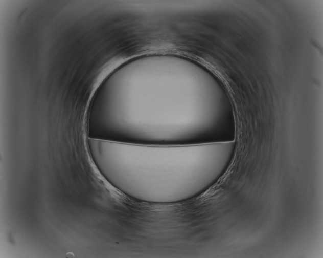 X0000097601440200802290721