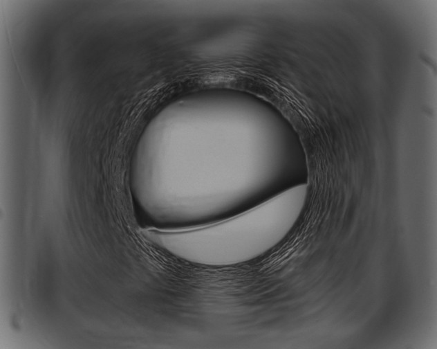 X0000097601441200802290720