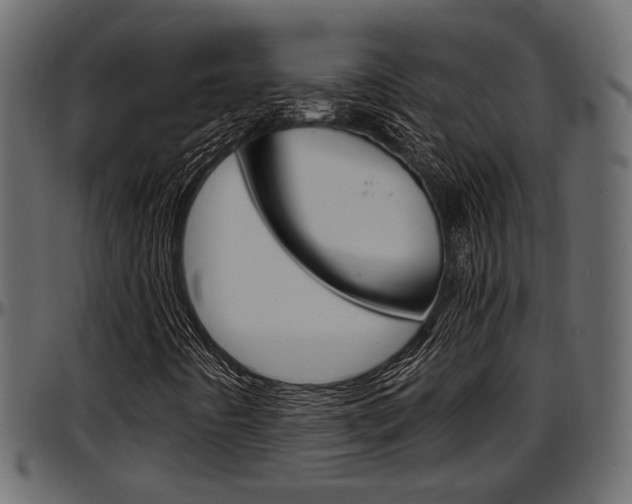 X0000097601442200802290720