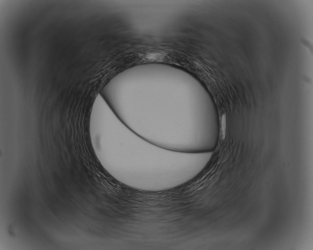 X0000097601443200802290720