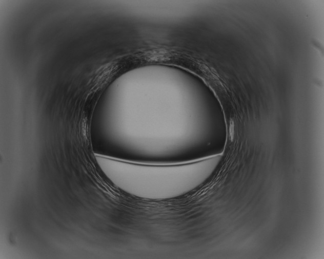 X0000097601444200802290720