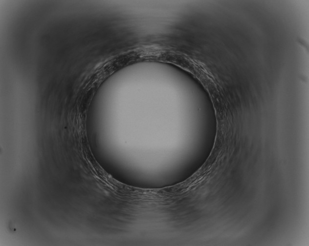 X0000097601445200802290720