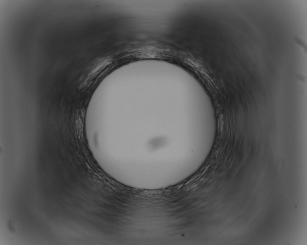 X0000097601446200802290720