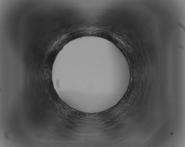 X0000097601447200802290720