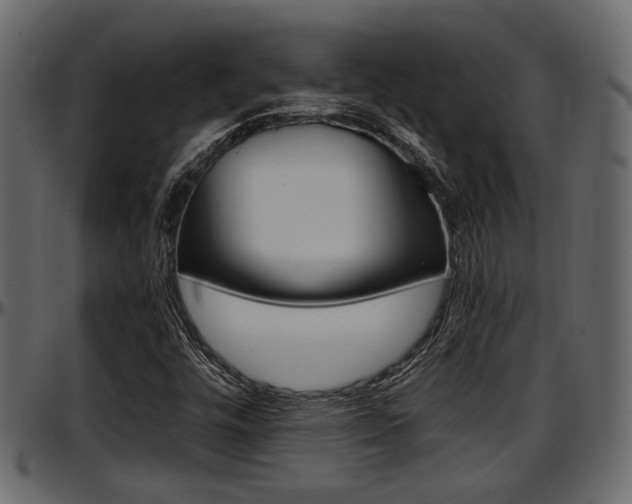 X0000097601448200802290720