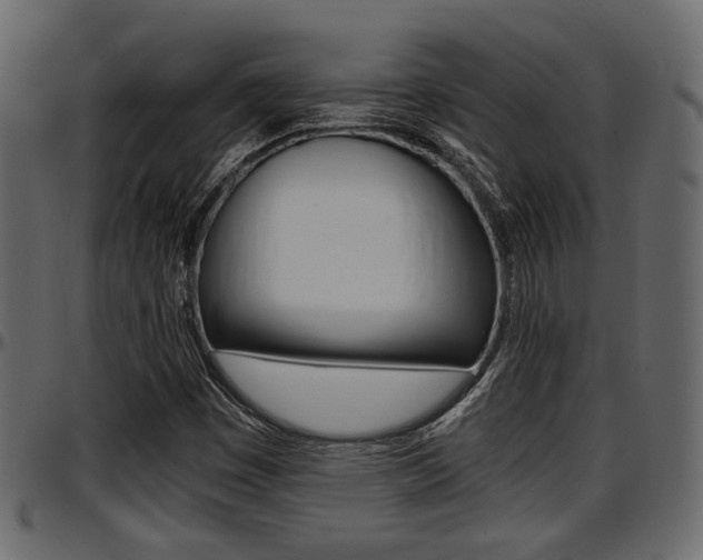 X0000097601449200802290720