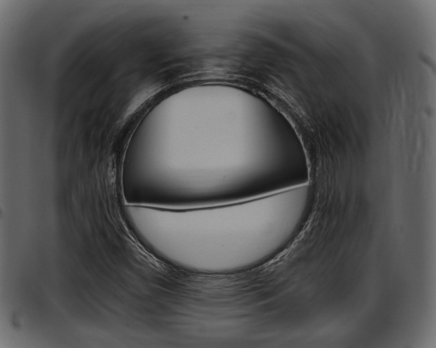 X0000097601450200802290720
