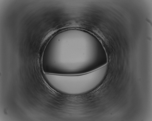 X0000097601452200802290720