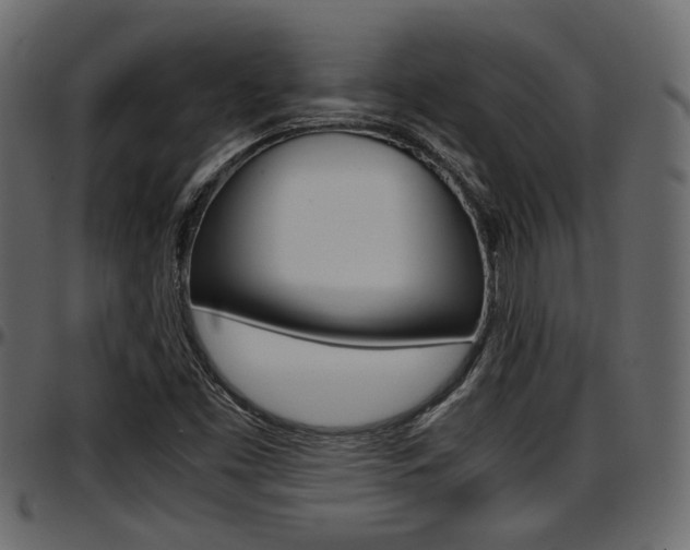 X0000097601453200802290720