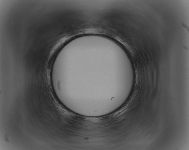 X0000097601454200802290720