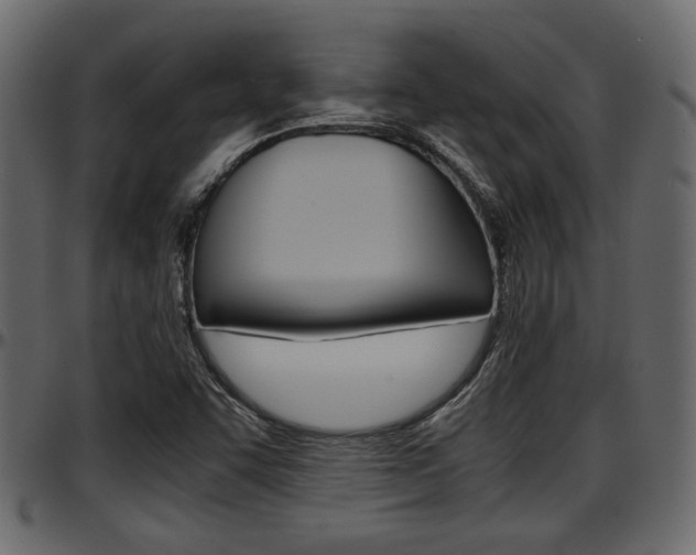 X0000097601455200802290720