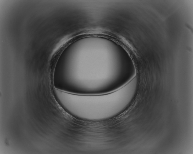 X0000097601456200802290720