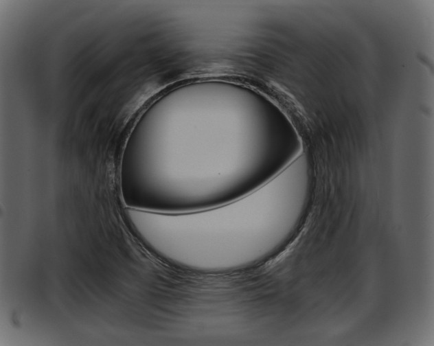X0000097601457200802290720