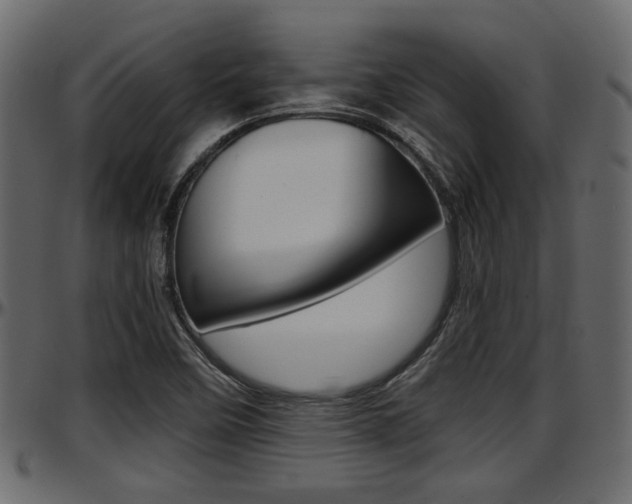 X0000097601458200802290720