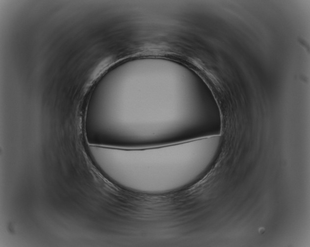 X0000097601459200802290720