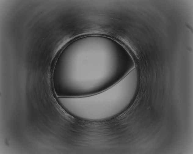 X0000097601460200802290720