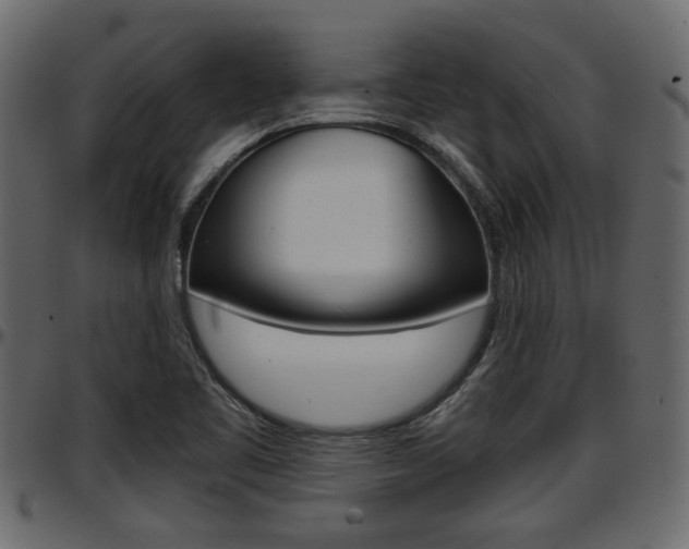 X0000097601461200802290720