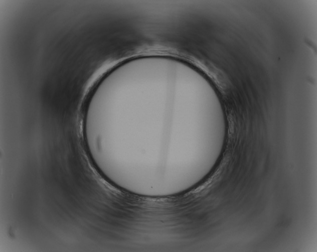 X0000097601462200802290720