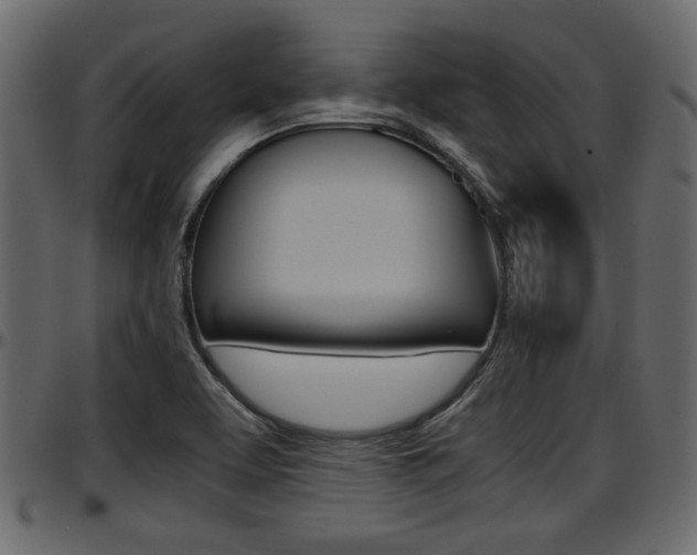 X0000097601463200802290720