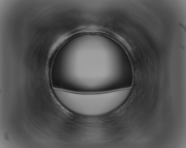 X0000097601464200802290720